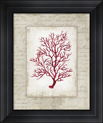 Framed Red Coral III Border Print
