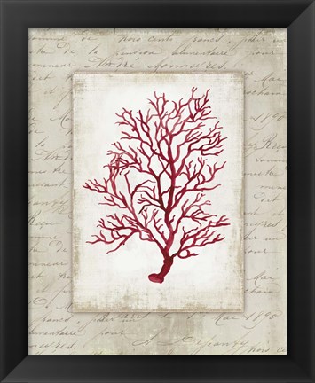 Framed Red Coral III Border Print