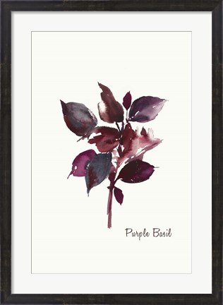 Framed Purple Basil Print