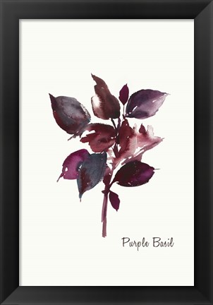 Framed Purple Basil Print