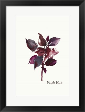 Framed Purple Basil Print