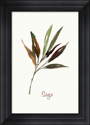 Framed Wild Sage Print