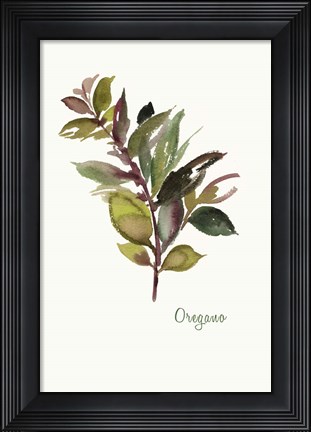 Framed Oregano Print