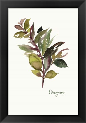 Framed Oregano Print