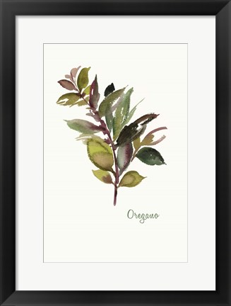 Framed Oregano Print