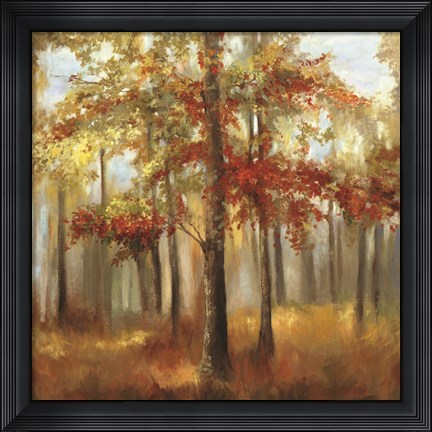 Framed Soft Light Print