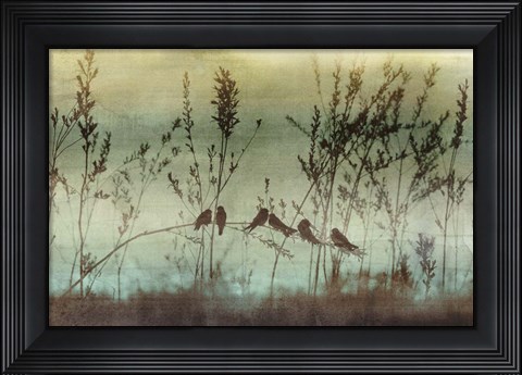 Framed Louisianna Print