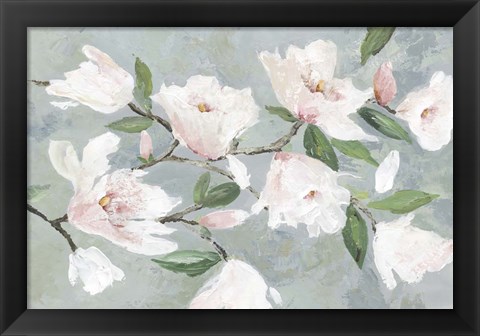 Framed Soft Pink Magnolias Print