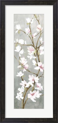 Framed Budding Magnolia I Print