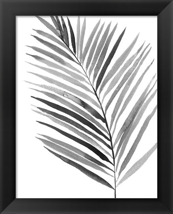 Framed BW Palm IV Print