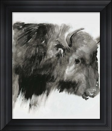 Framed Black Bison Print