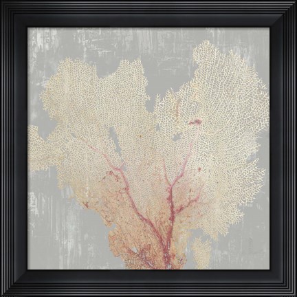 Framed Blush Coral I Print