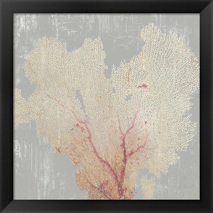 Framed Blush Coral I Print