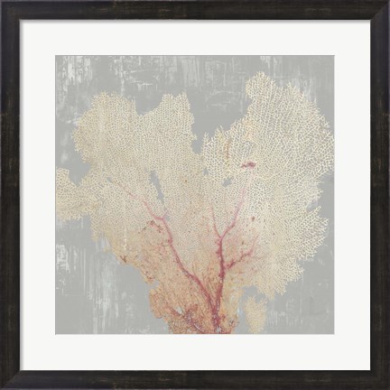 Framed Blush Coral I Print