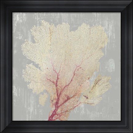 Framed Blush Coral II Print