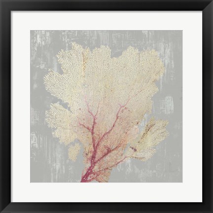 Framed Blush Coral II Print