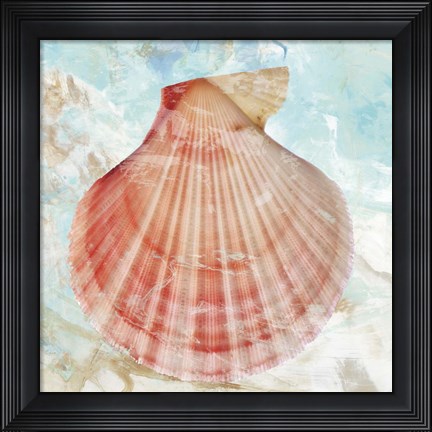 Framed Pink Shell Print