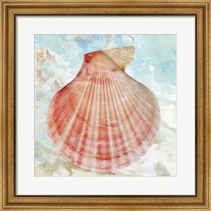Framed Pink Shell Print