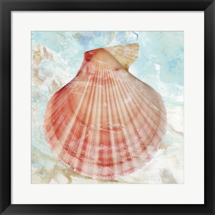 Framed Pink Shell Print