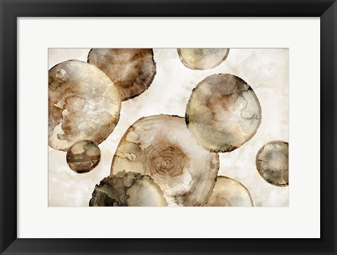 Framed Tree Rings Print