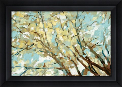 Framed View From Below Print