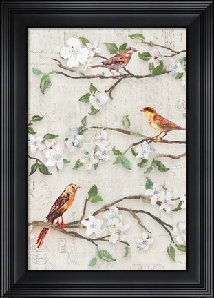 Framed Songs of Blossoms II Print