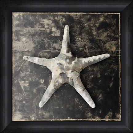 Framed Marble Shell Series III Print
