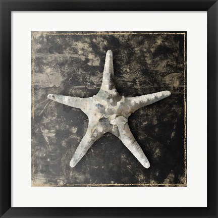 Framed Marble Shell Series III Print