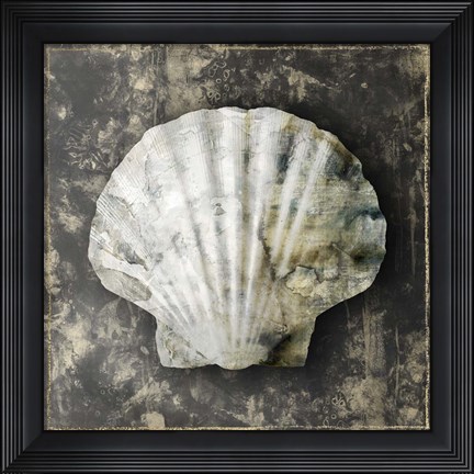 Framed Marble Shell Series IV Print