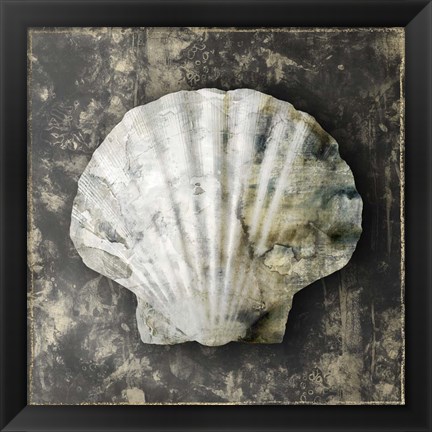 Framed Marble Shell Series IV Print