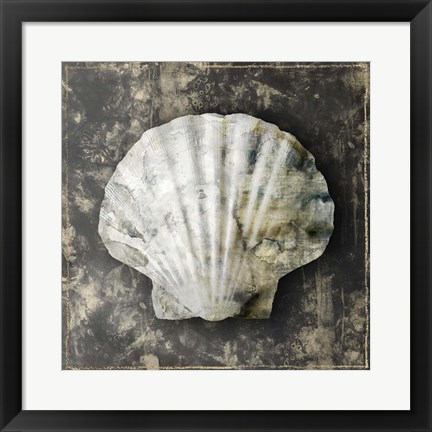 Framed Marble Shell Series IV Print