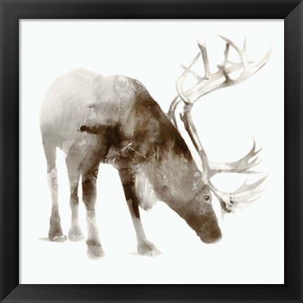 Framed Caribou Print