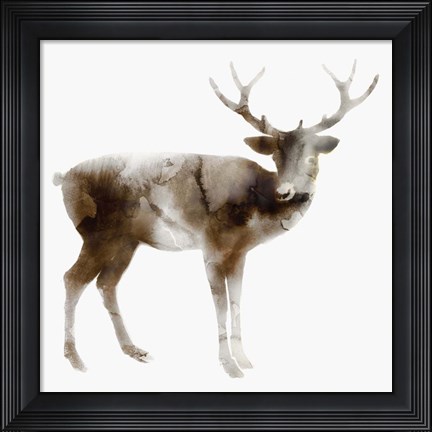 Framed Stag Print