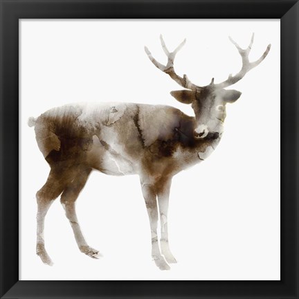 Framed Stag Print