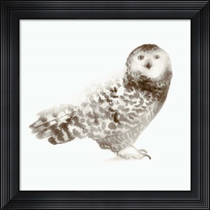 Framed Owl Print