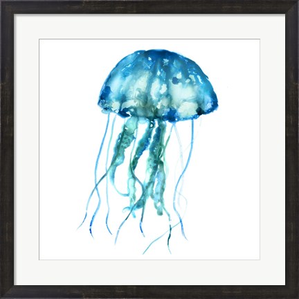 Framed Jellyfish Print