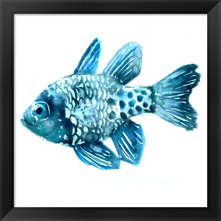 Framed Fish II Print