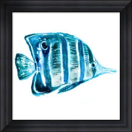 Framed Fish III Print