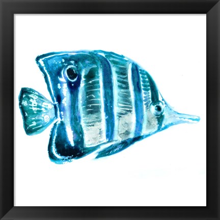 Framed Fish III Print