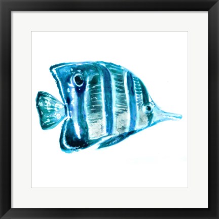 Framed Fish III Print