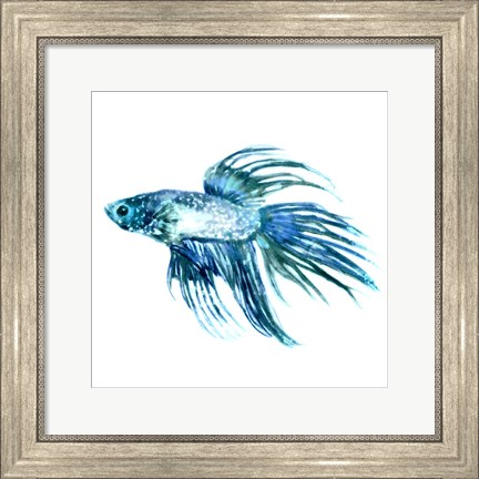 Framed Fish IV Print
