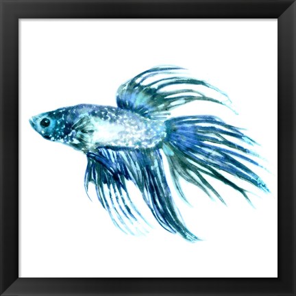 Framed Fish IV Print