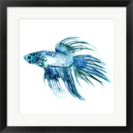 Framed Fish IV Print