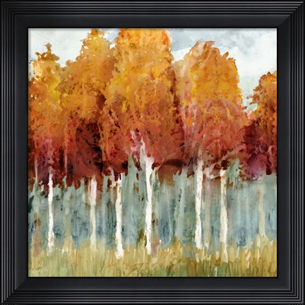 Framed Birch I Print