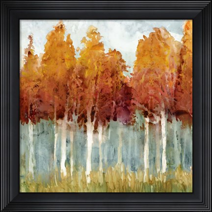 Framed Birch II Print