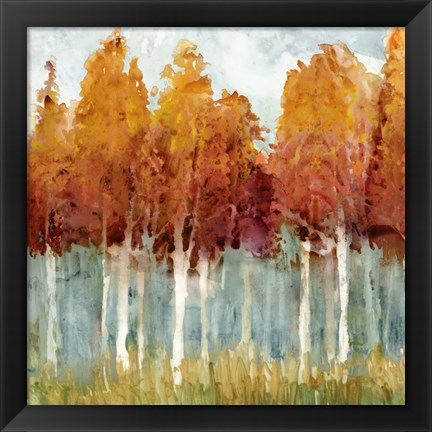 Framed Birch II Print