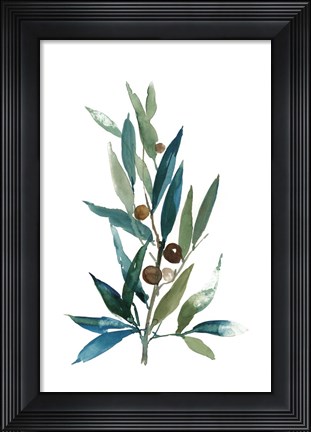 Framed Olive Branch I Print