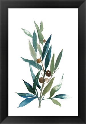 Framed Olive Branch I Print