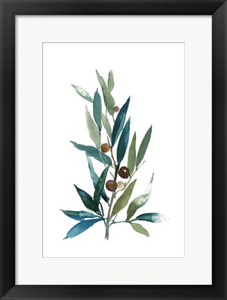 Framed Olive Branch I Print