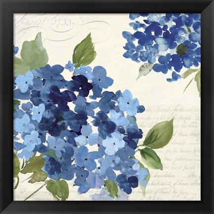 Framed Hampton Hydrangea I Print